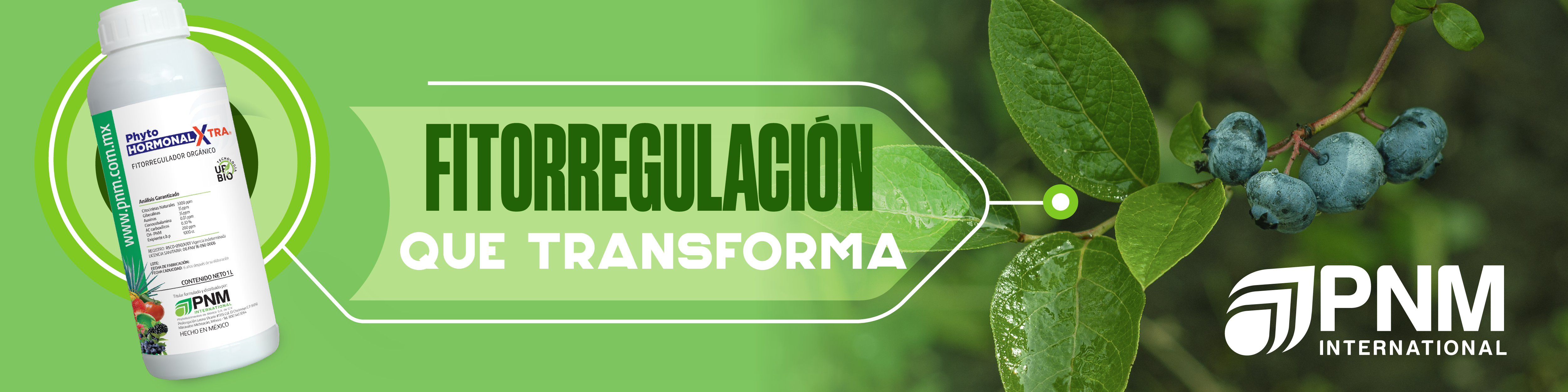 06AGOSTO_banners_Mesa de trabajo 1 copia 6